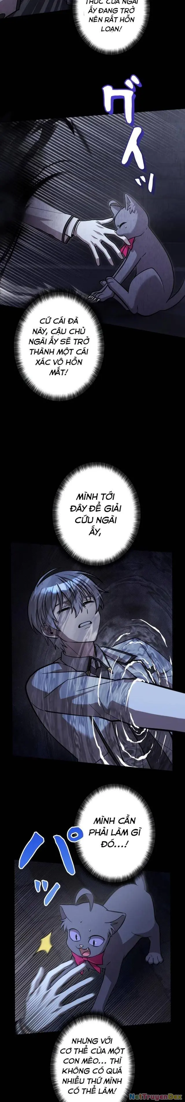 Các Nữ Anh Hùng Muốn Giết Tôi, Một Anh Hùng Chapter 15 - Trang 10