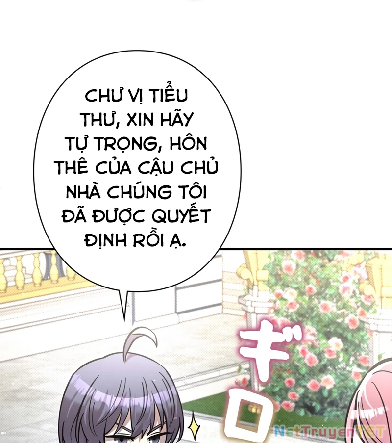 Các Nữ Anh Hùng Muốn Giết Tôi, Một Anh Hùng Chapter 22 - Trang 31