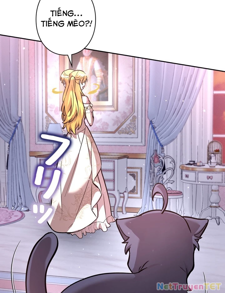 Các Nữ Anh Hùng Muốn Giết Tôi, Một Anh Hùng Chapter 23 - Trang 12