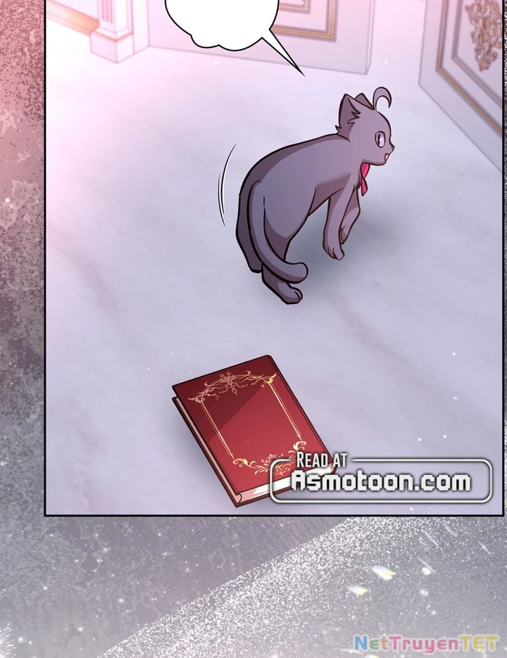 Các Nữ Anh Hùng Muốn Giết Tôi, Một Anh Hùng Chapter 23 - Trang 14