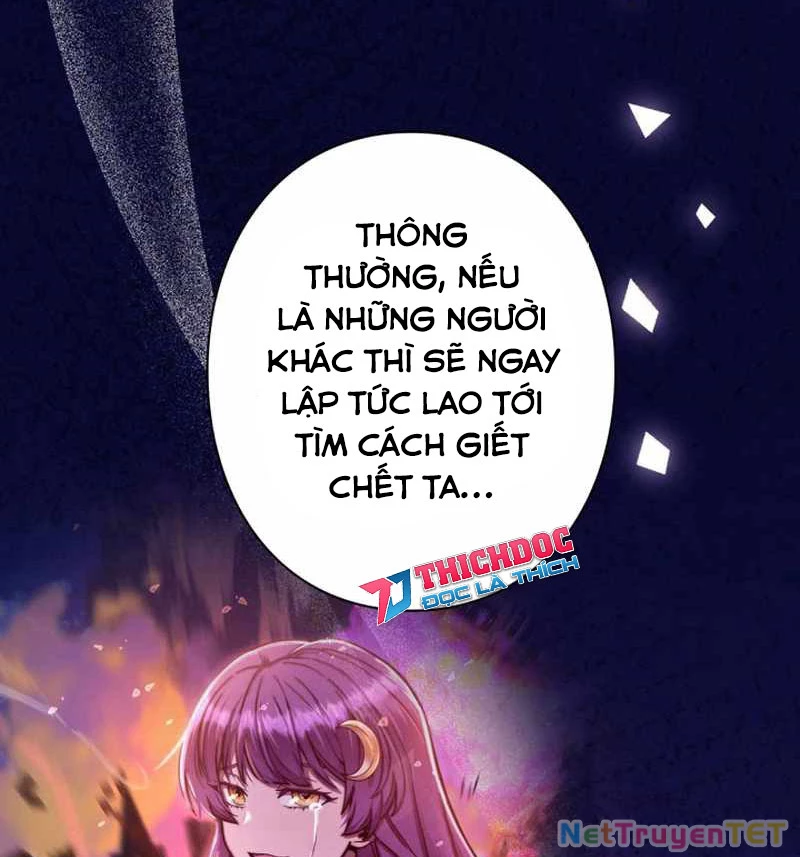 Các Nữ Anh Hùng Muốn Giết Tôi, Một Anh Hùng Chapter 24 - Trang 24