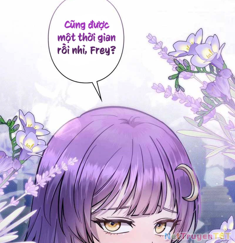 Các Nữ Anh Hùng Muốn Giết Tôi, Một Anh Hùng Chapter 25 - Trang 7