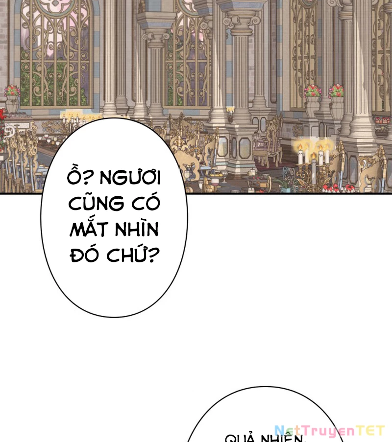 Các Nữ Anh Hùng Muốn Giết Tôi, Một Anh Hùng Chapter 4 - Trang 32
