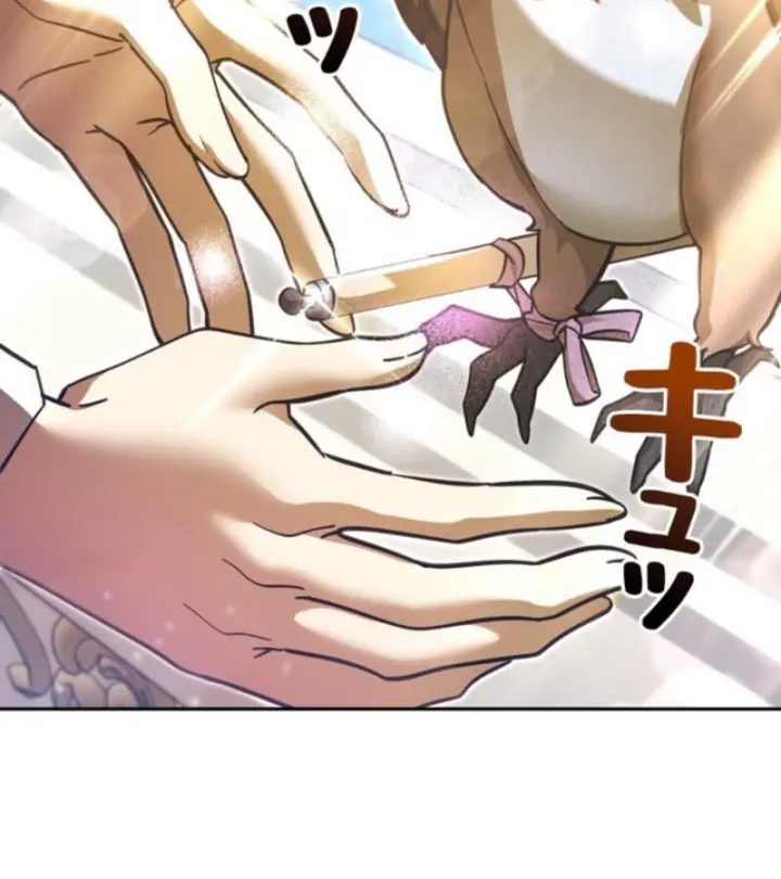 Các Nữ Anh Hùng Muốn Giết Tôi, Một Anh Hùng Chapter 40 - Trang 4