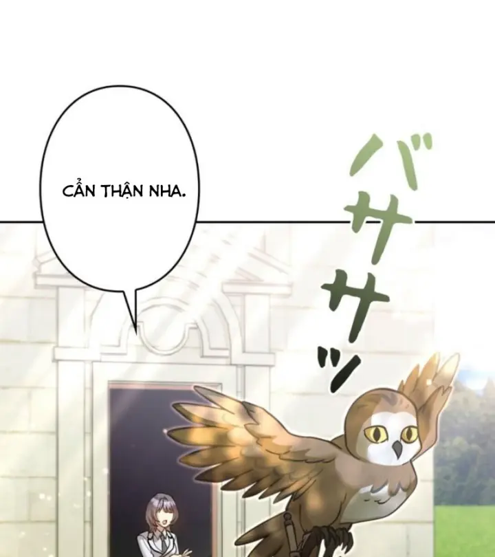 Các Nữ Anh Hùng Muốn Giết Tôi, Một Anh Hùng Chapter 40 - Trang 5