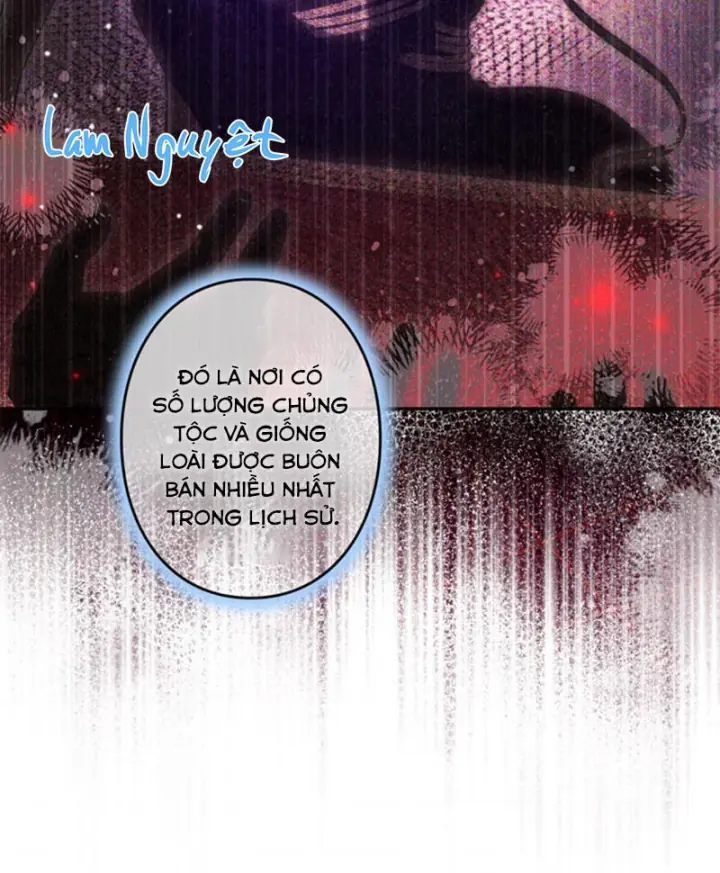 Các Nữ Anh Hùng Muốn Giết Tôi, Một Anh Hùng Chapter 44 - Trang 28