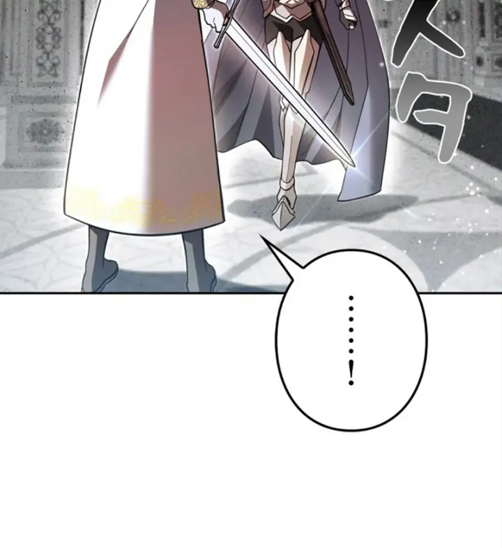 Các Nữ Anh Hùng Muốn Giết Tôi, Một Anh Hùng Chapter 46 - Trang 13