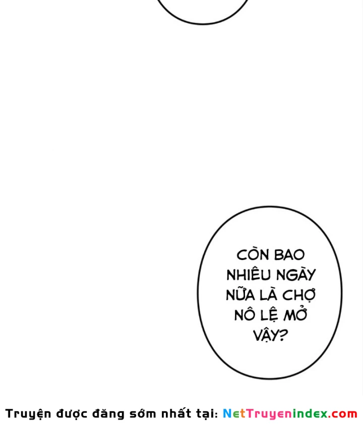 Các Nữ Anh Hùng Muốn Giết Tôi, Một Anh Hùng Chapter 51 - Trang 25