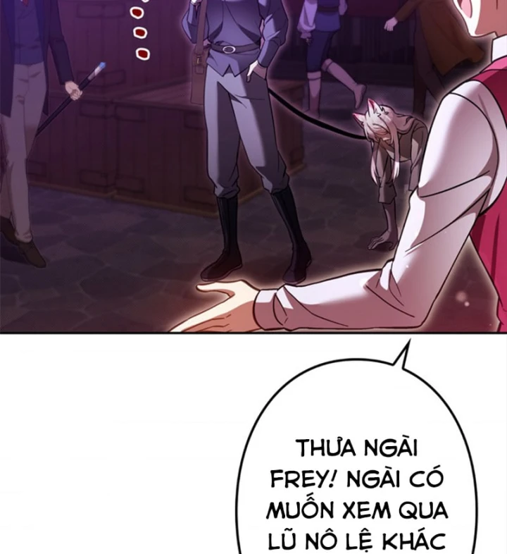 Các Nữ Anh Hùng Muốn Giết Tôi, Một Anh Hùng Chapter 51 - Trang 48