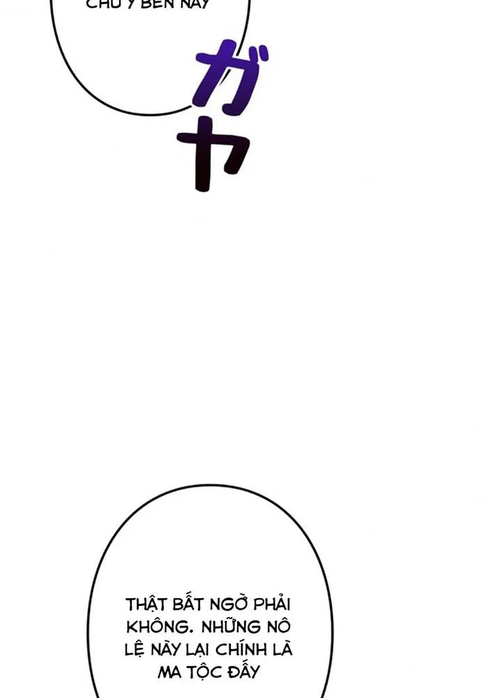 Các Nữ Anh Hùng Muốn Giết Tôi, Một Anh Hùng Chapter 52 - Trang 19