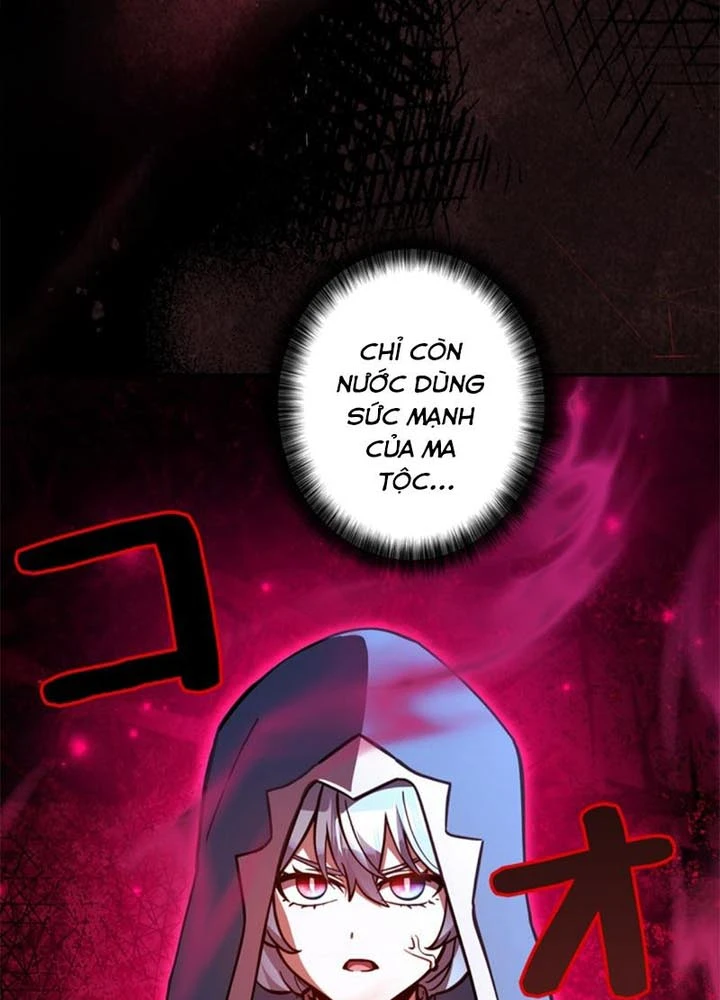 Các Nữ Anh Hùng Muốn Giết Tôi, Một Anh Hùng Chapter 52 - Trang 41