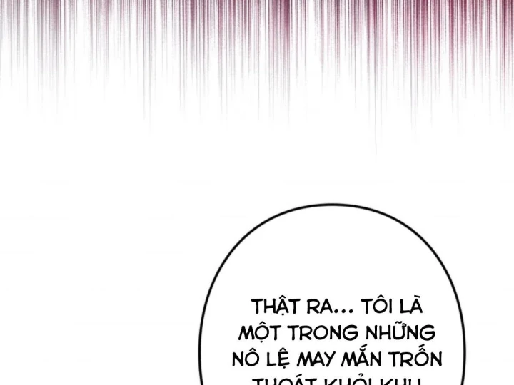 Các Nữ Anh Hùng Muốn Giết Tôi, Một Anh Hùng Chapter 56 - Trang 36