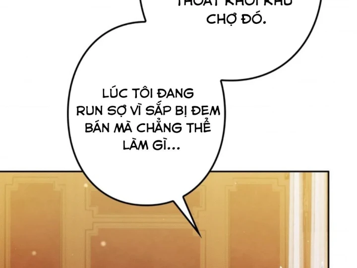 Các Nữ Anh Hùng Muốn Giết Tôi, Một Anh Hùng Chapter 56 - Trang 37