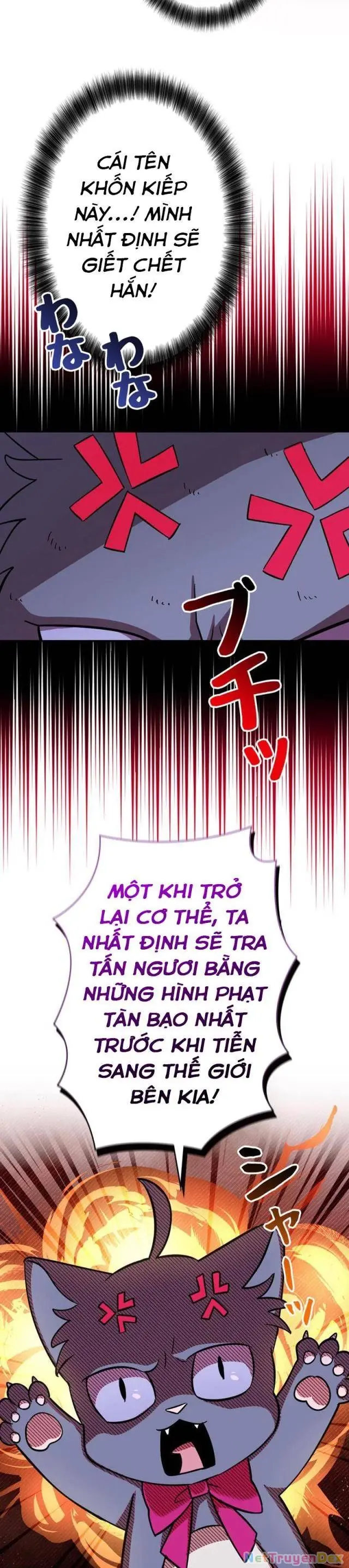 Các Nữ Anh Hùng Muốn Giết Tôi, Một Anh Hùng Chapter 7 - Trang 6