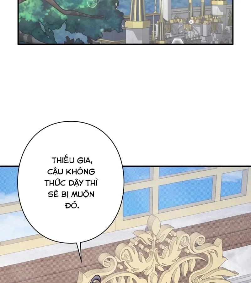 Các Nữ Chính Muốn Giết Tôi Chapter 5 - Trang 21