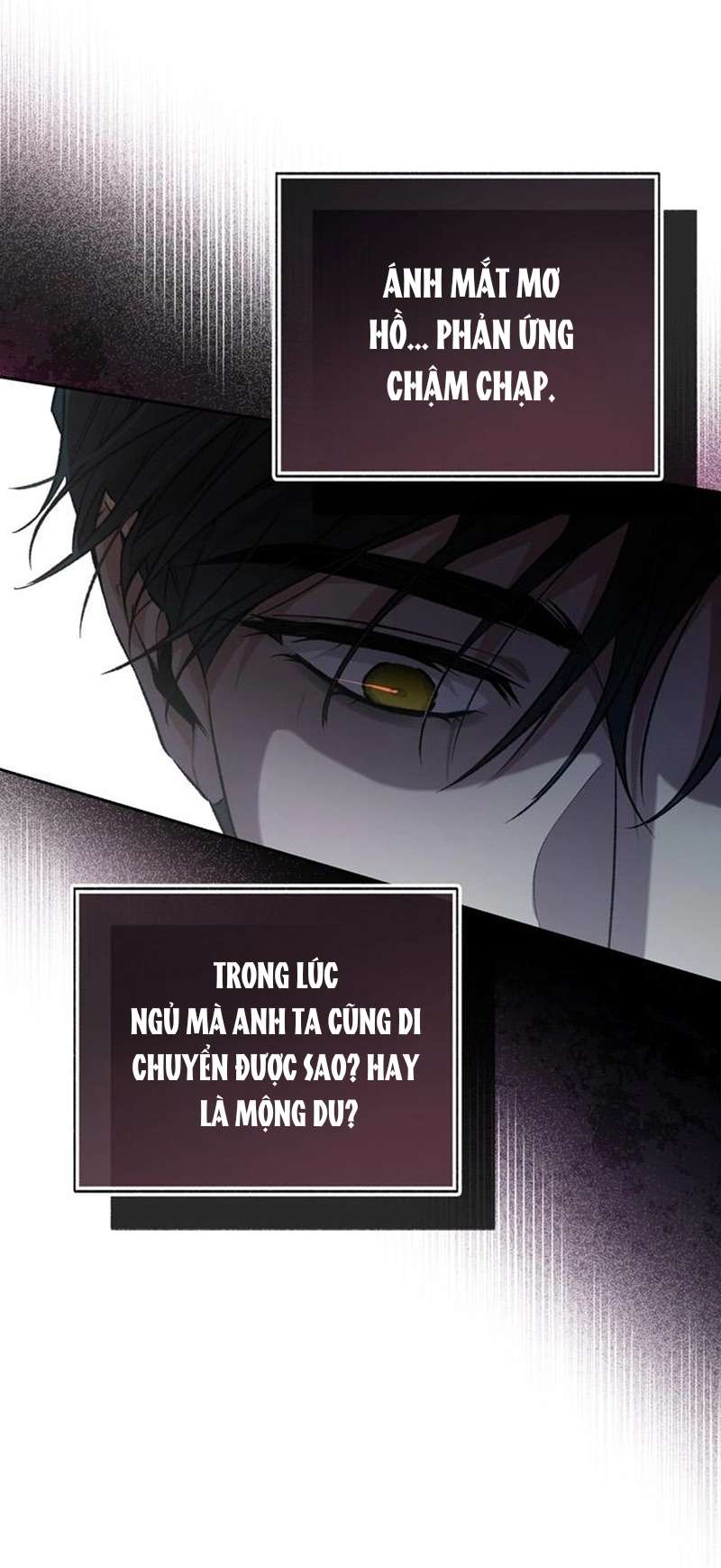 Cái Chết Không Thể Ngủ Yên Chapter 2 - Trang 20