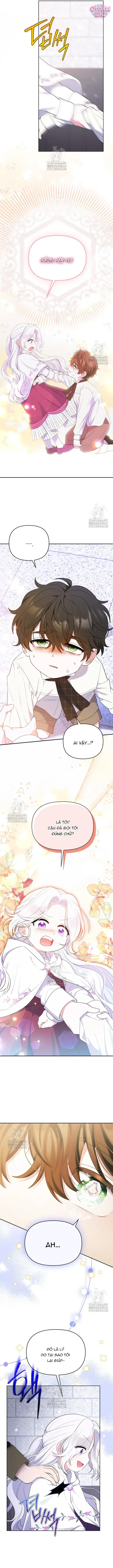 Cái Giá Của Tái Sinh Chapter 11 - Trang 12