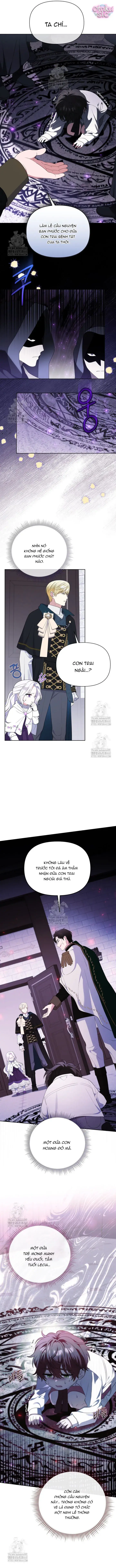 Cái Giá Của Tái Sinh Chapter 11 - Trang 6