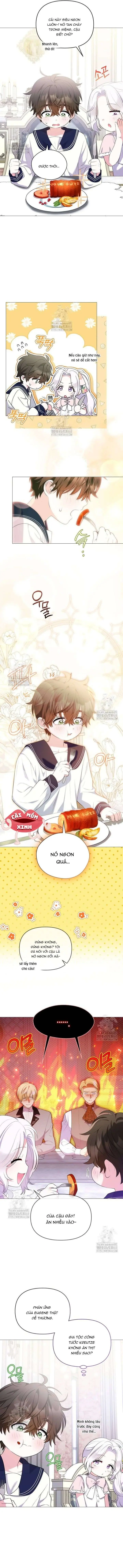 Cái Giá Của Tái Sinh Chapter 14 - Trang 11