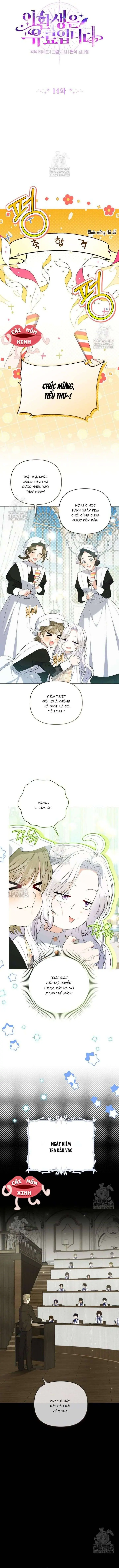 Cái Giá Của Tái Sinh Chapter 14 - Trang 4