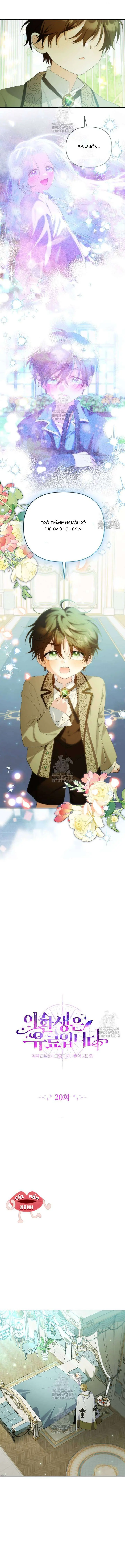 Cái Giá Của Tái Sinh Chapter 20 - Trang 5