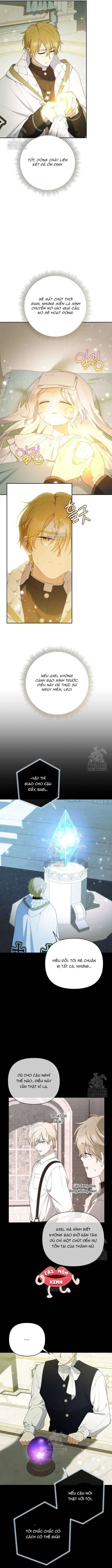 Cái Giá Của Tái Sinh Chapter 20 - Trang 7
