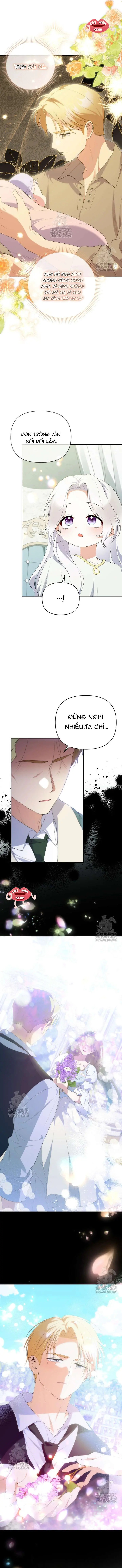 Cái Giá Của Tái Sinh Chapter 22 - Trang 12