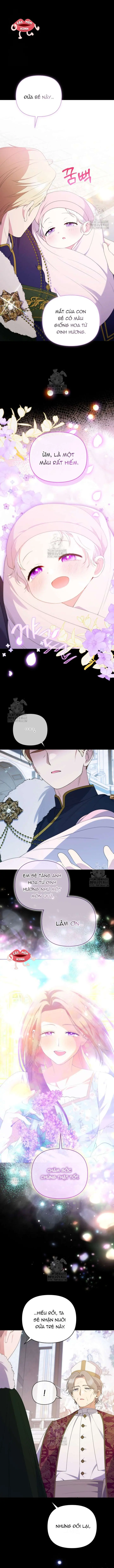 Cái Giá Của Tái Sinh Chapter 22 - Trang 15