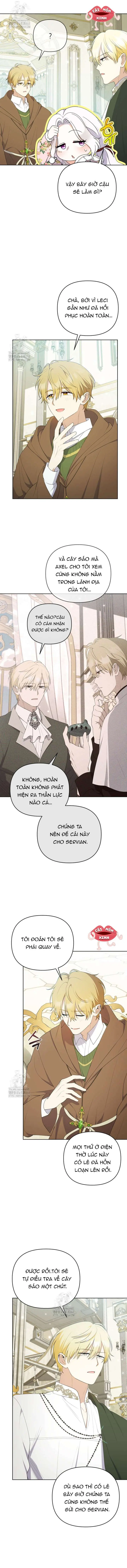 Cái Giá Của Tái Sinh Chapter 23 - Trang 13