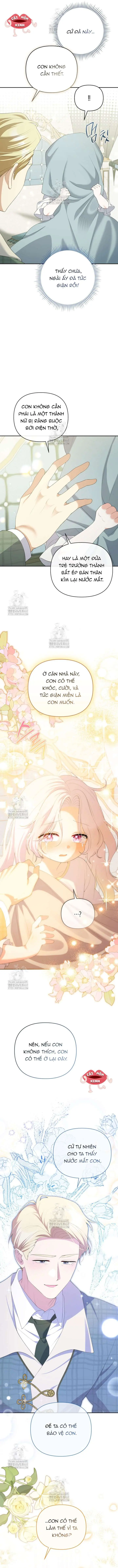Cái Giá Của Tái Sinh Chapter 23 - Trang 7