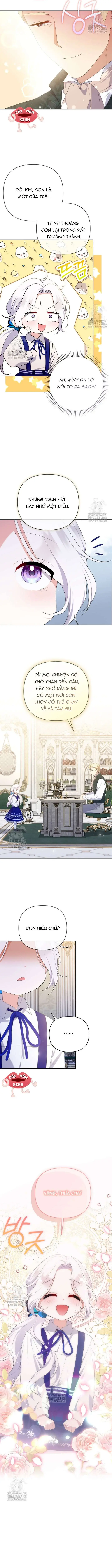 Cái Giá Của Tái Sinh Chapter 25 - Trang 13