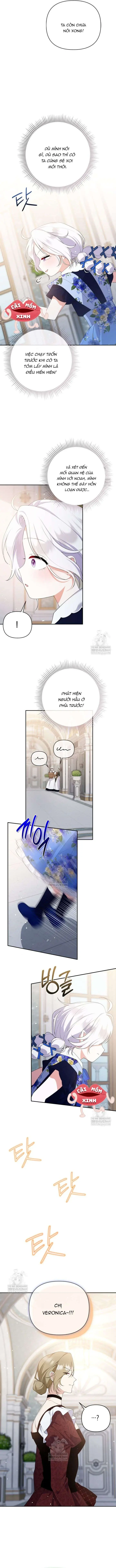 Cái Giá Của Tái Sinh Chapter 28 - Trang 11