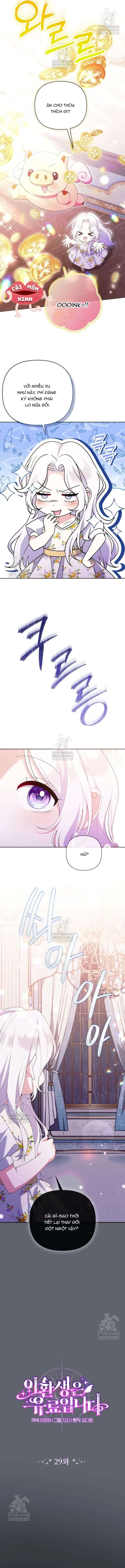 Cái Giá Của Tái Sinh Chapter 29 - Trang 4