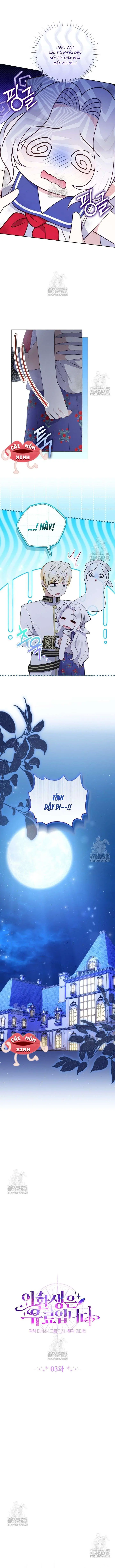 Cái Giá Của Tái Sinh Chapter 3 - Trang 3