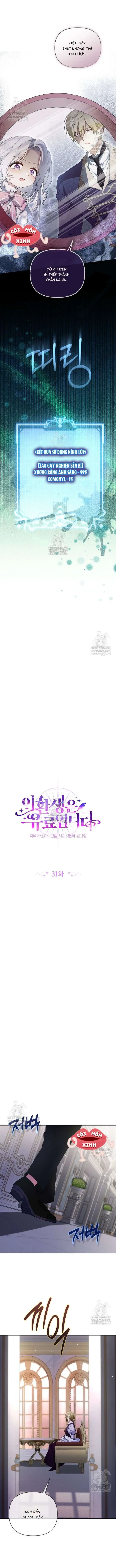 Cái Giá Của Tái Sinh Chapter 31 - Trang 5