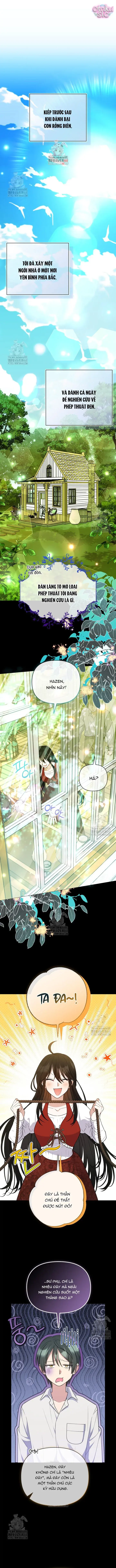 Cái Giá Của Tái Sinh Chapter 9 - Trang 2