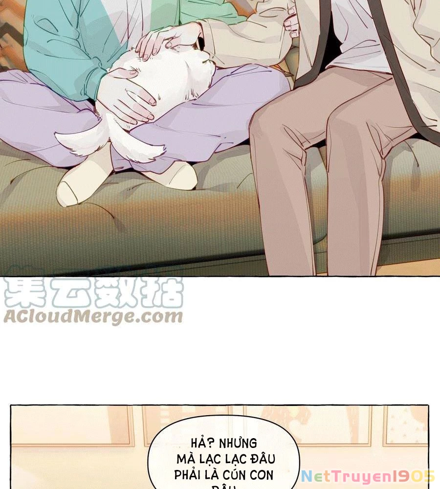 CẠM BẪY GÁI THẲNG Chapter 100 - Trang 17