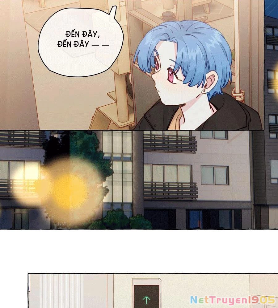CẠM BẪY GÁI THẲNG Chapter 100 - Trang 27