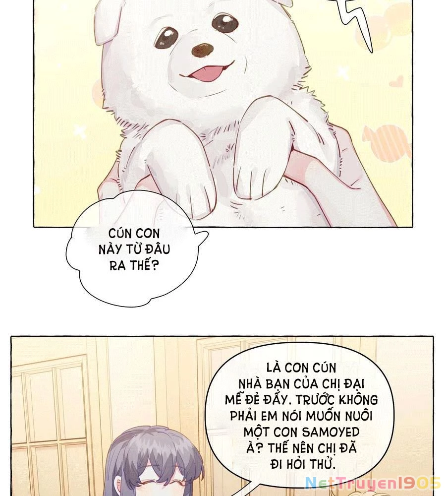 CẠM BẪY GÁI THẲNG Chapter 100 - Trang 3