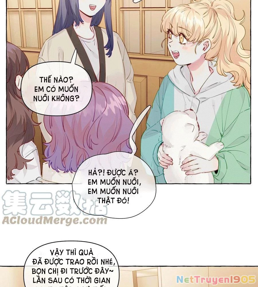 CẠM BẪY GÁI THẲNG Chapter 100 - Trang 4