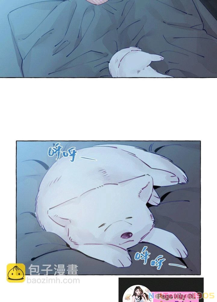 CẠM BẪY GÁI THẲNG Chapter 104 - Trang 12
