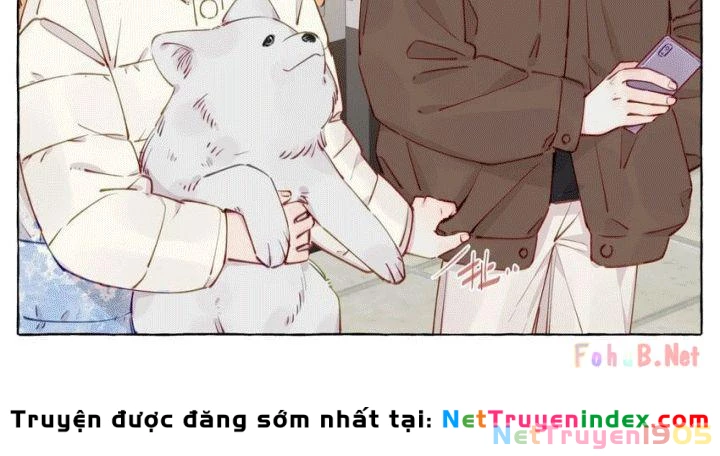 CẠM BẪY GÁI THẲNG Chapter 108 - Trang 19