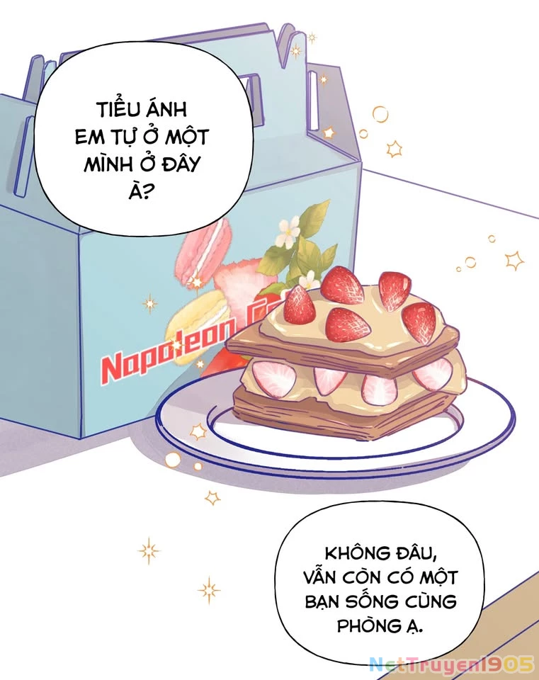 CẠM BẪY GÁI THẲNG Chapter 11 - Trang 17