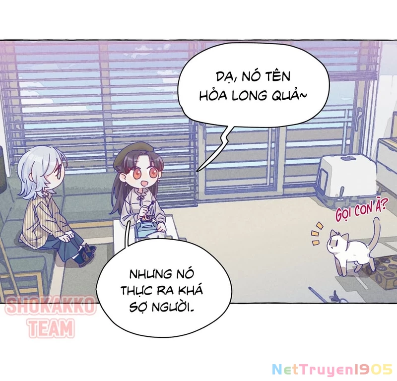 CẠM BẪY GÁI THẲNG Chapter 11 - Trang 20