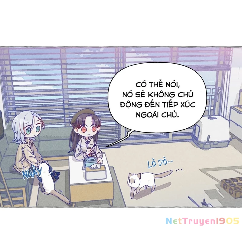 CẠM BẪY GÁI THẲNG Chapter 11 - Trang 21