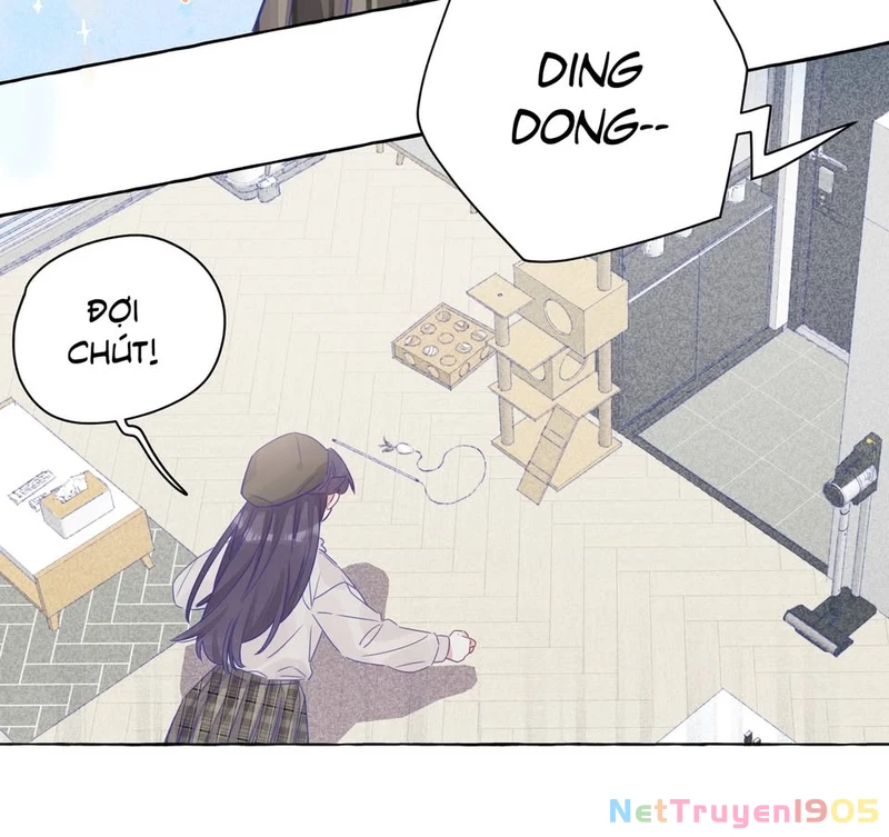 CẠM BẪY GÁI THẲNG Chapter 11 - Trang 4