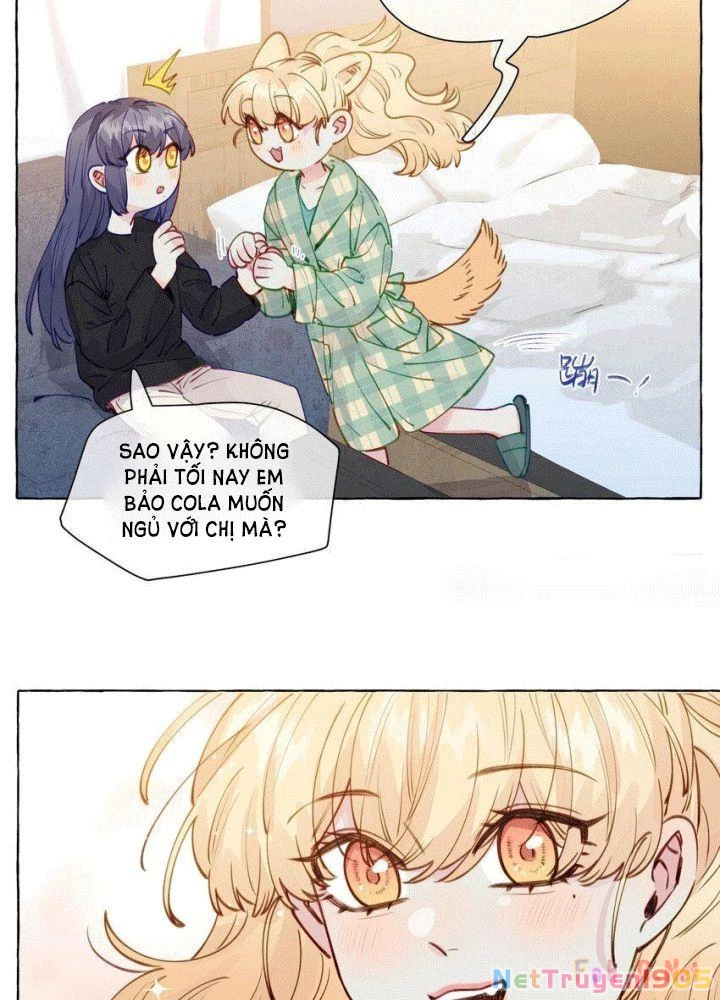 CẠM BẪY GÁI THẲNG Chapter 112 - Trang 34