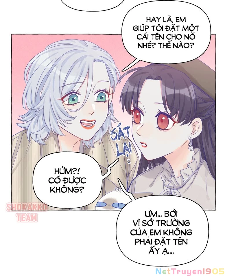 CẠM BẪY GÁI THẲNG Chapter 12 - Trang 11