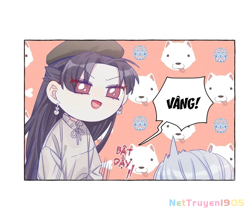 CẠM BẪY GÁI THẲNG Chapter 12 - Trang 13
