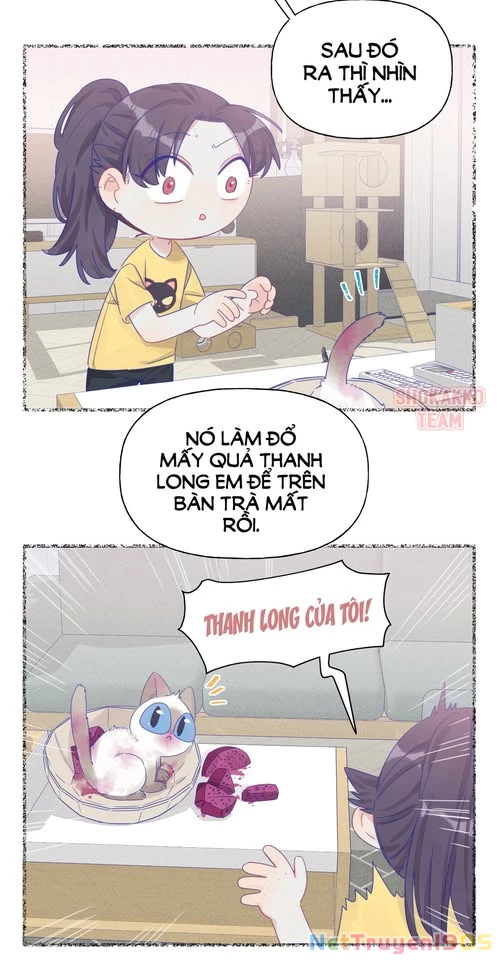 CẠM BẪY GÁI THẲNG Chapter 12 - Trang 4